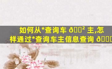 如何从*
查询车 🌲 主,怎样通过*
查询车主信息查询 🐅
